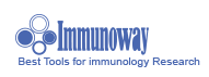 immunoway抗体试剂盒